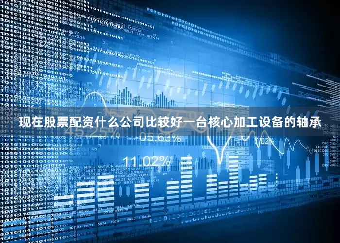 现在股票配资什么公司比较好一台核心加工设备的轴承