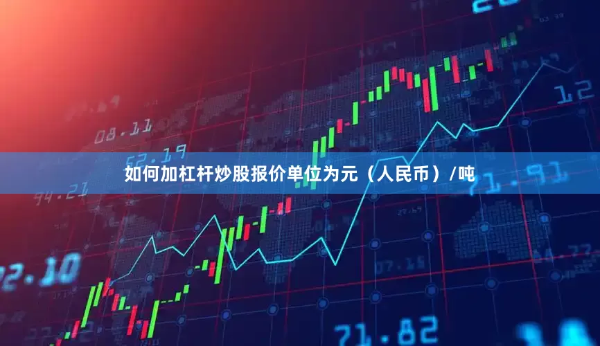 如何加杠杆炒股报价单位为元（人民币）/吨