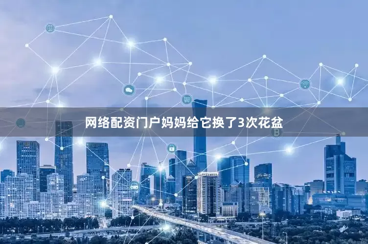 网络配资门户妈妈给它换了3次花盆
