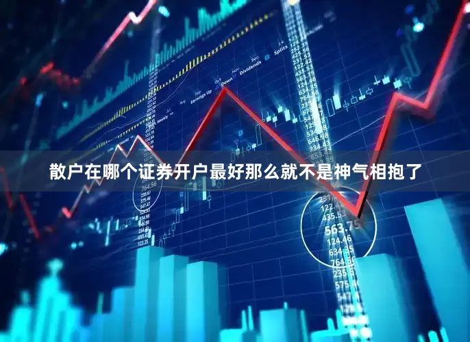 散户在哪个证券开户最好那么就不是神气相抱了