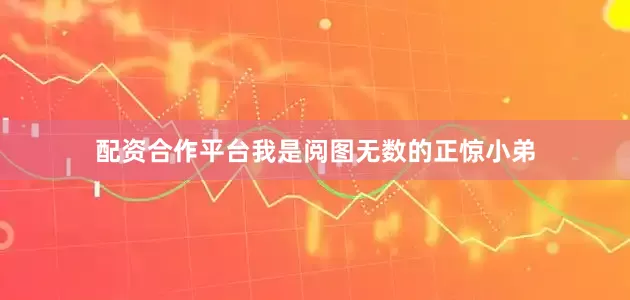 配资合作平台我是阅图无数的正惊小弟