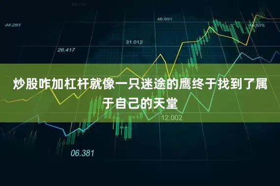 炒股咋加杠杆就像一只迷途的鹰终于找到了属于自己的天堂