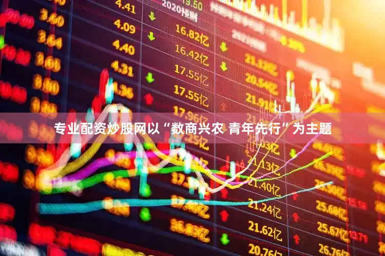 专业配资炒股网以“数商兴农 青年先行”为主题