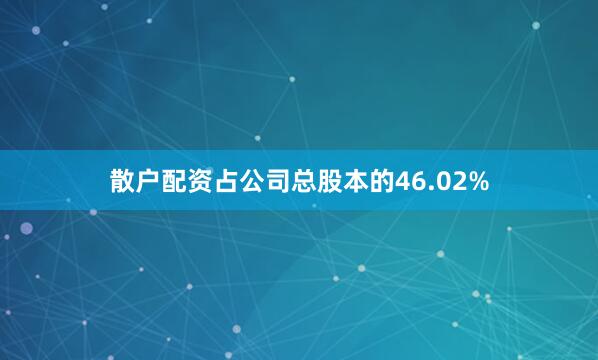 散户配资占公司总股本的46.02%