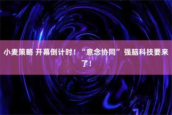 小麦策略 开幕倒计时！“意念协同” 强脑科技要来了！